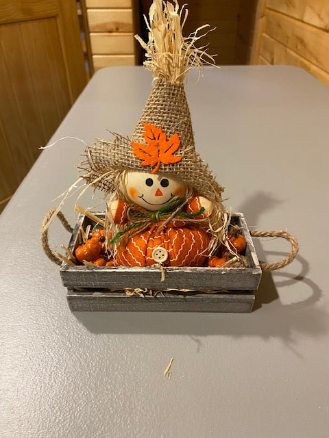 Scarecrow In Crate