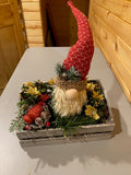 Gnome in Winter Crate